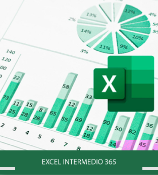 Excel Intermedio 365 Online