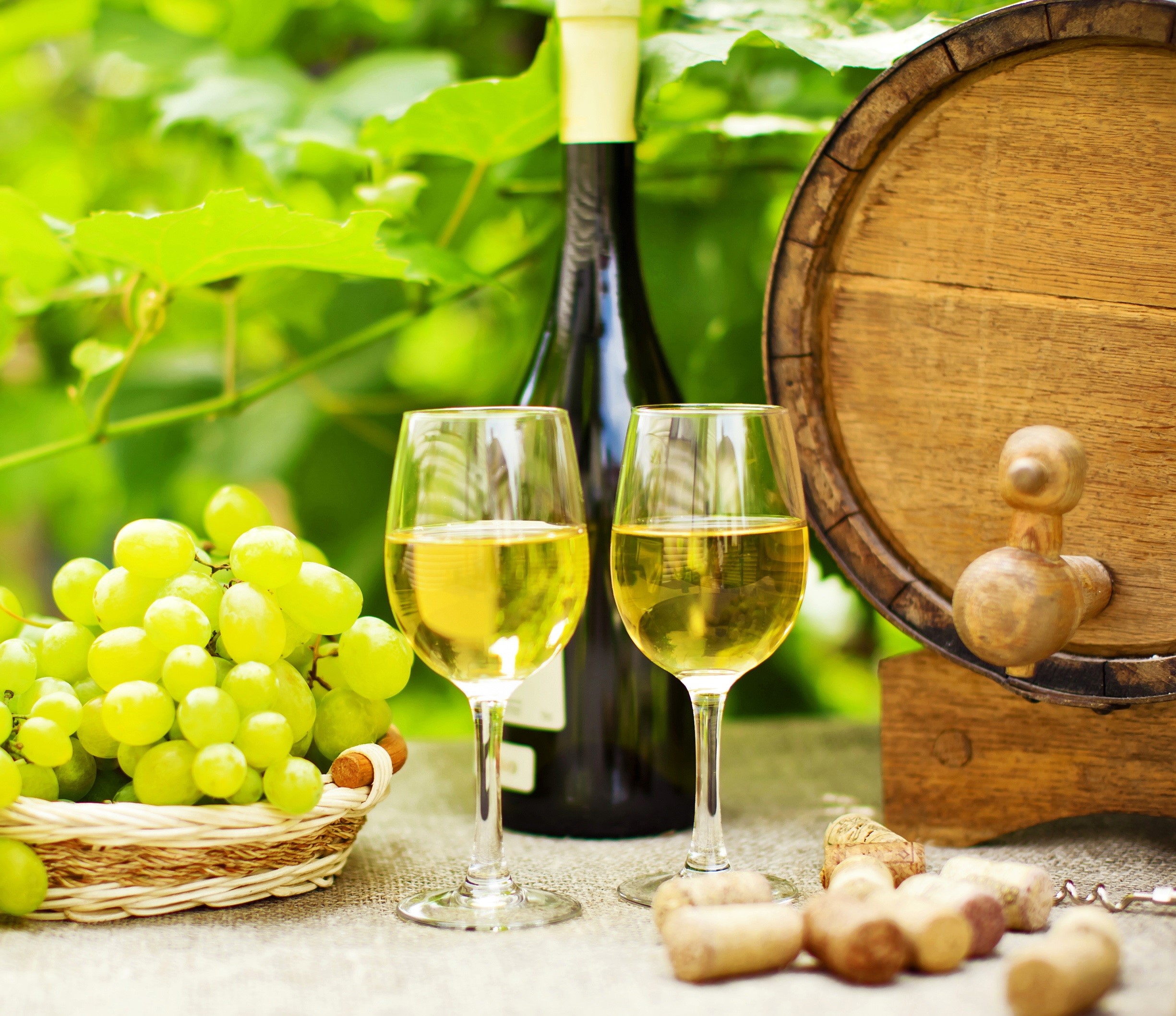 Cursos bonificados online Curso de Viticultura, enología y cata