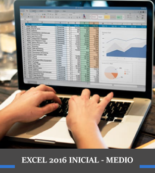 Curso online Excel 2016 Inicial - Medio