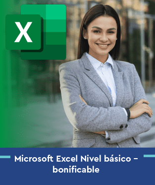 Microsoft Excel Nivel básico