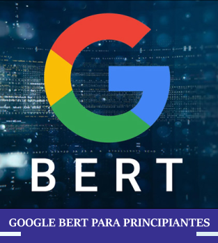 Curso online bonificado de Google BERT para Principiantes