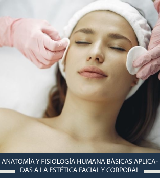 Curso online bonificado de Anatomía y fisiología humana básicas aplicadas a la estética facial y corporal