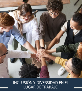 Curso online bonificado de Inclusión y Diversidad en el Lugar de Trabajo
