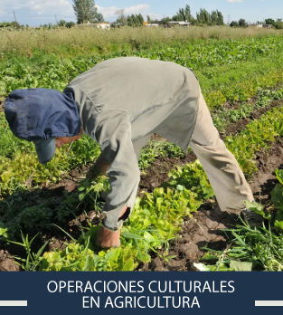Curso online bonificado de Operaciones culturales en agricultura