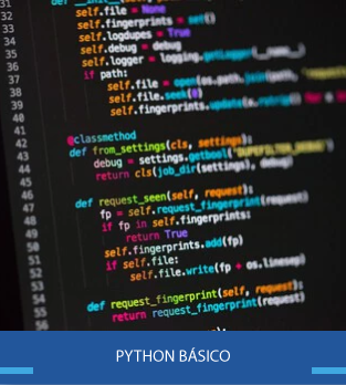 Curso Online Bonificado de Python Básico