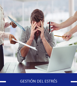 Curso online Coaching - Desarrollo profesional estratégico