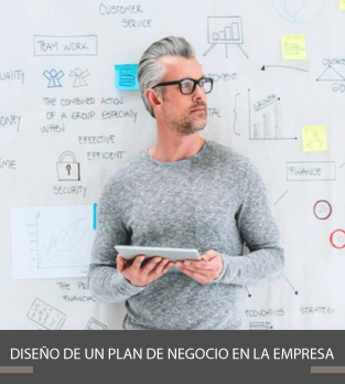 Curso online Diseño de un Plan de Negocio en la Empresa