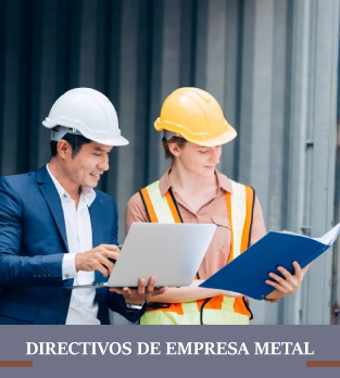 Directivos de empresa metal